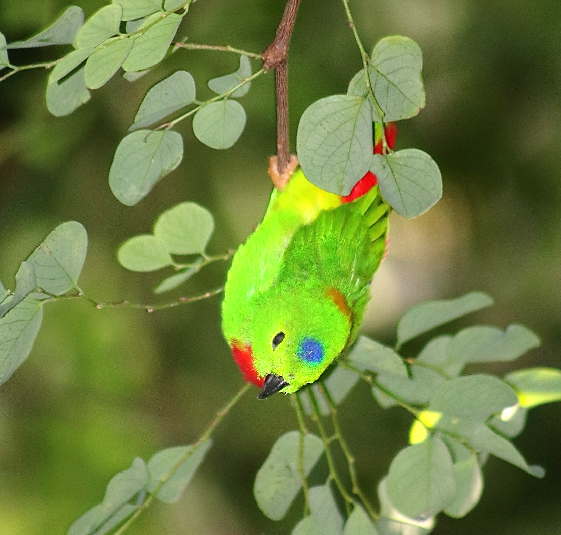contacto naturaleza