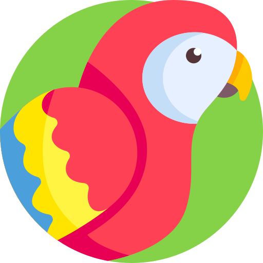 macaw