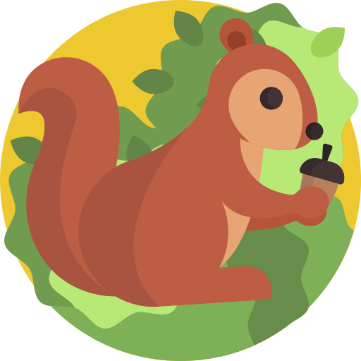squirrel