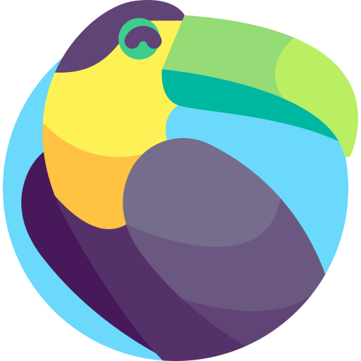 toucan