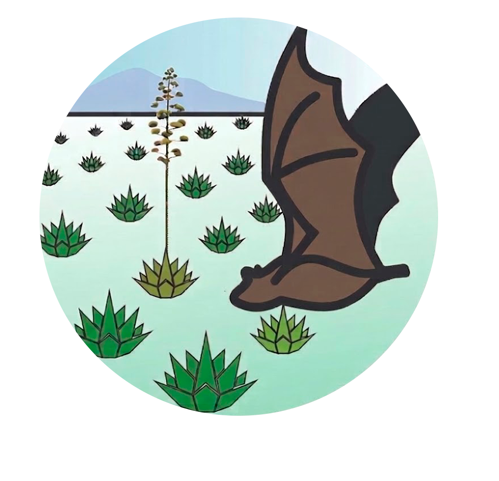 contacto naturaleza